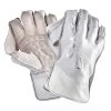 R11 Cricket Wicket Keeping Gloves -Sports Equipment Store Chase R11 Cricket Wicket Keeping Gloves 2019