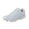 GM Icon White Spike Cricket Shoe -Sports Equipment Store GM Icon Spike Cricket Shoe 2020