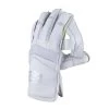 Legend Wicket Keeping Gloves 1 Legend Wicket Keeping Gloves -Sports Equipment Store Gray Nicolls Legend Wicket Keeping Gloves