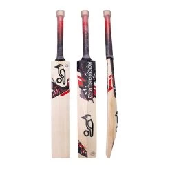 Beast 3.1 Cricket Bat 2022