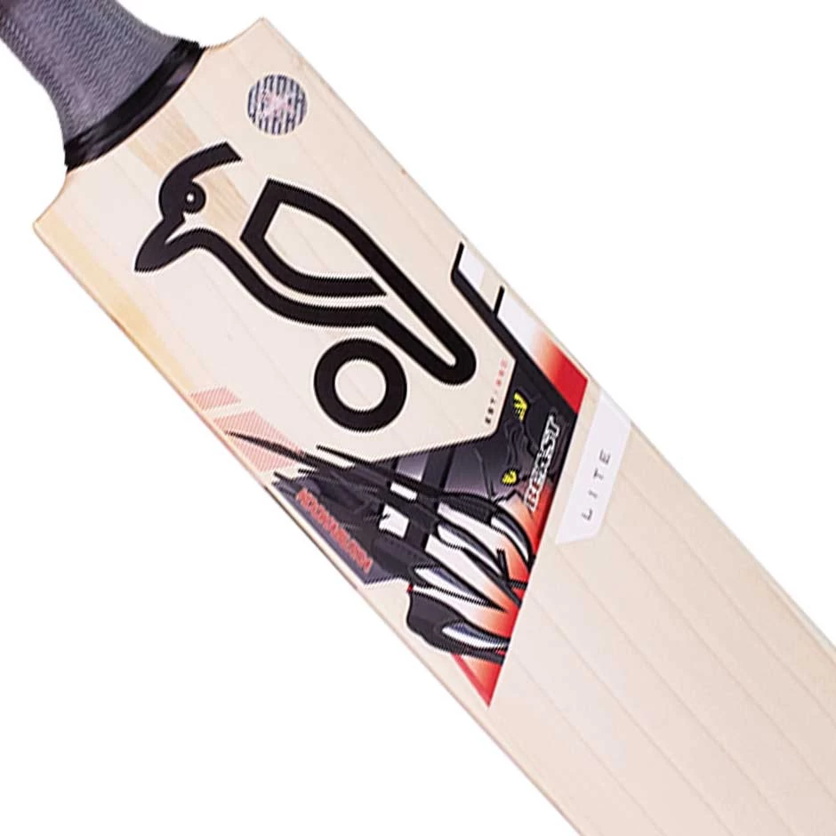 Beast Lite Cricket Bat 2022 4 Beast Lite Cricket Bat 2022 - Image 2