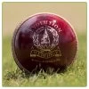 Evolution Cricket Ball -Sports Equipment Store Mens Evolution Cricket Ball