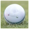 Magna White Cricket Ball 2 Magna White Cricket Ball -Sports Equipment Store Mens Magna White Cricket Ball