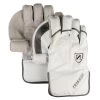 N Series Wicket Keeping Gloves -Sports Equipment Store Newbery N Series Wicket Keeping Gloves e1641914764349