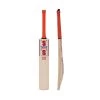 Turbo 333 Cricket Bat Grade 2 -Sports Equipment Store Surridge SS Turbo 333 Cricket Bat front and side