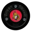 Green Biscuit NHL Teams -Sports Equipment Store g PUCK207